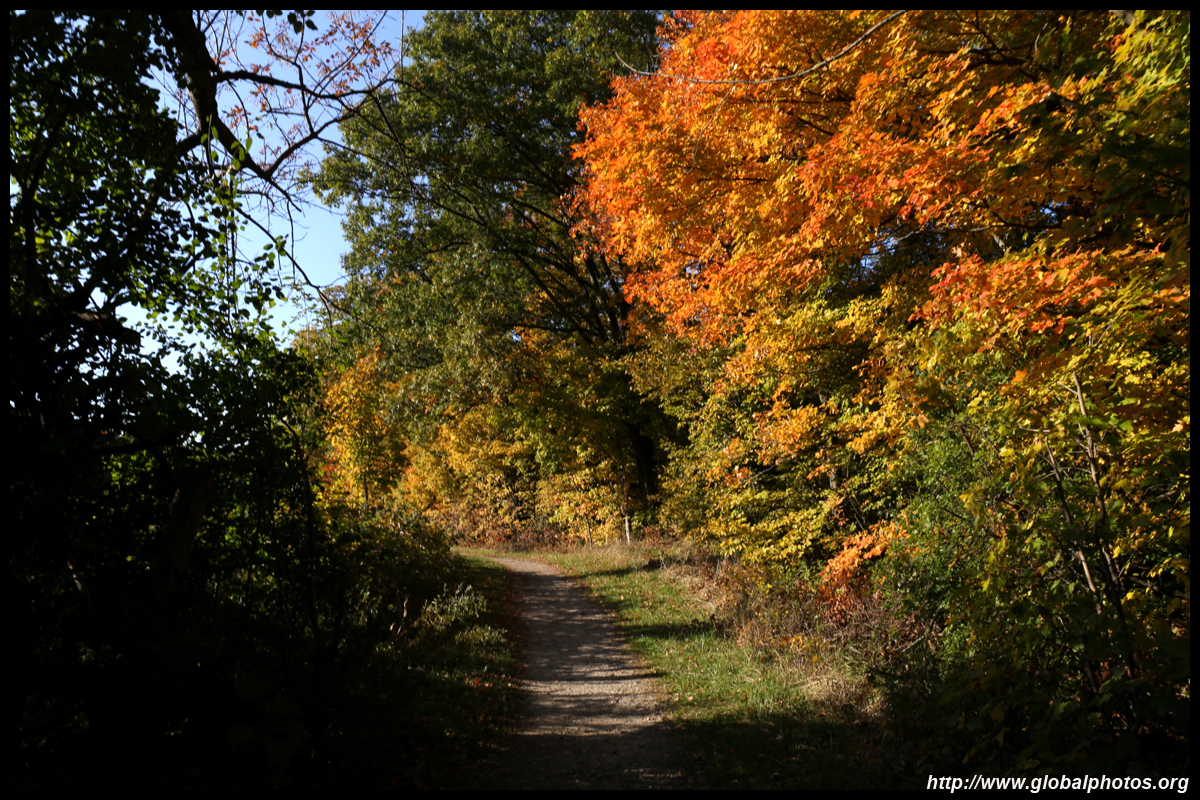 Toronto Photo Gallery - Fall Colours #3 Bronte Creek Provincial Park