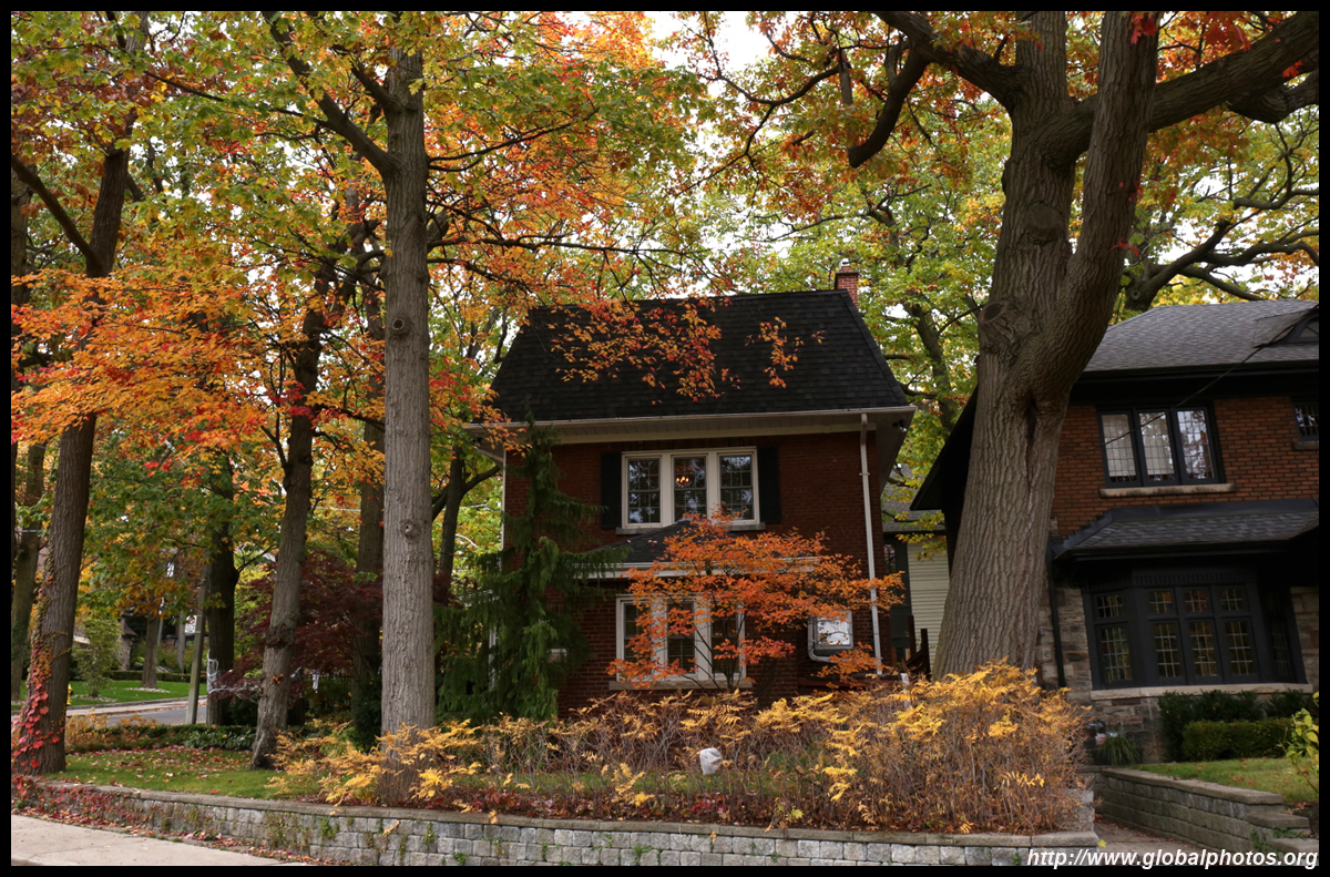 Toronto Photo Gallery - Fall Colours #1 In the City